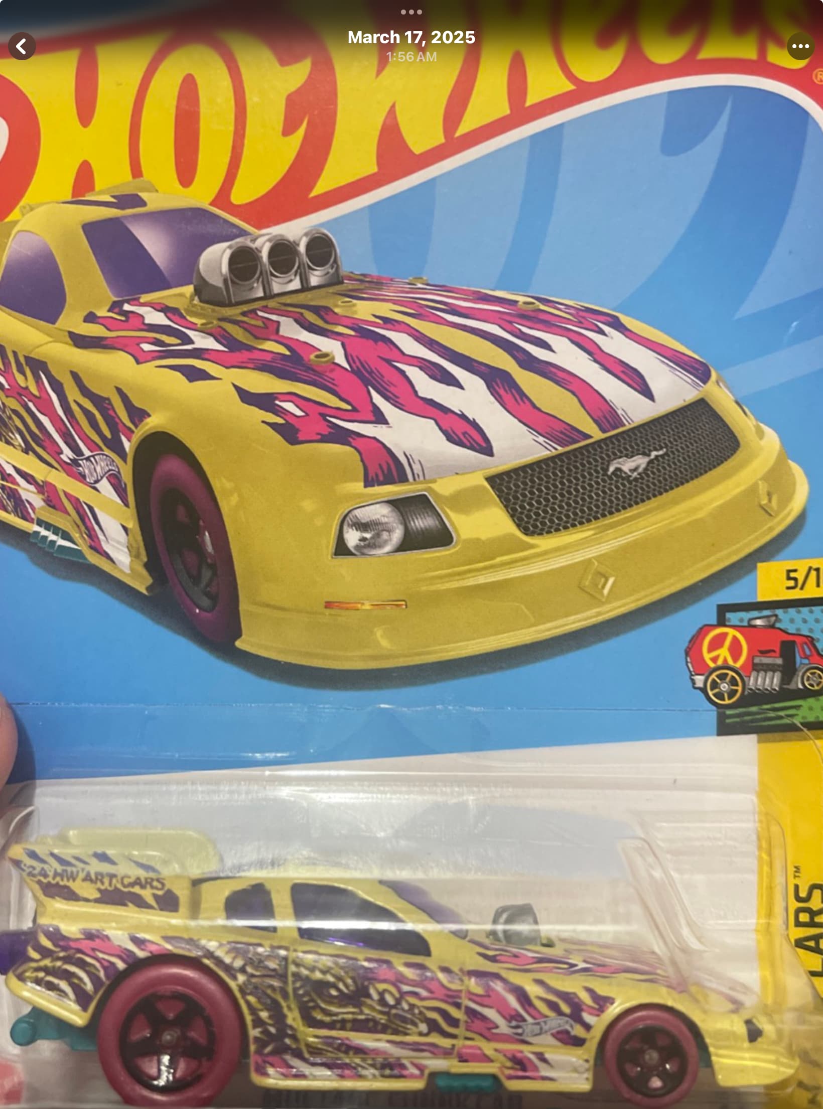 New Lot 25